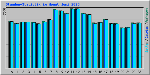 Stunden-Statistik im Monat Juni 2025